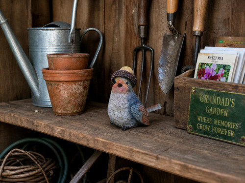 Robin with acorn hat - acorn,