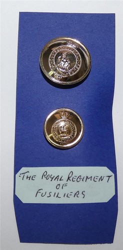 Royal regiment fusiliers - royal,