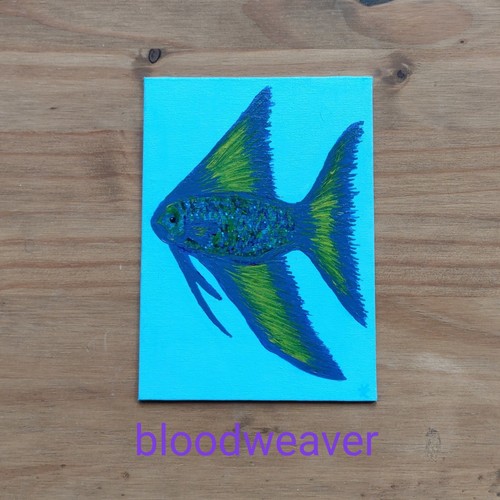 Angel tropical fish blue