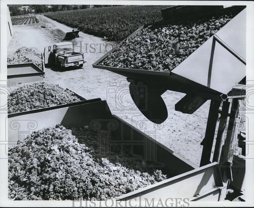 1969 press photo - photo, modern