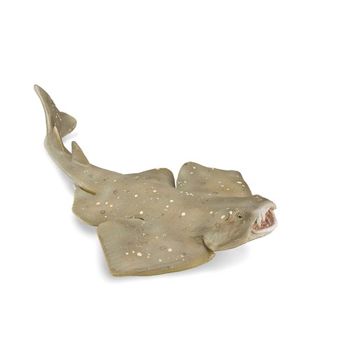 Collecta angel shark - collecta,