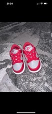 Infant Nike Dunks Size 4.5
