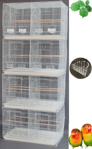 Lot large breeding - lot, of