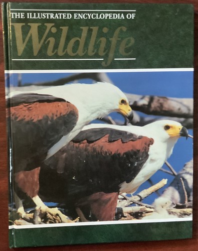 The illustrated encyclopedia - illustrated,