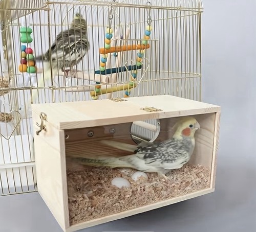 Bird large breeding - breeding, box