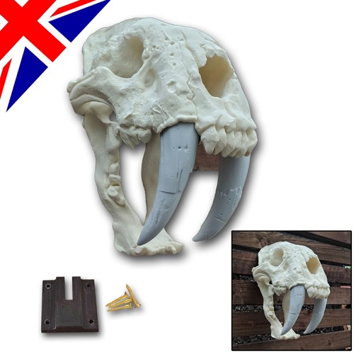 Sabre tooth tiger large - tooth,