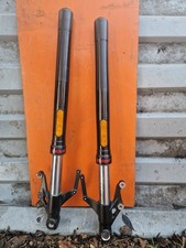 Triumph 660 trident front - 660,