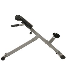 45 Degree Hyperextension Roman