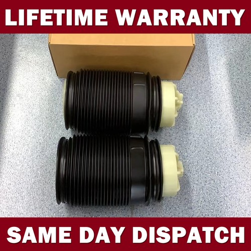Pair left right rear air - left,