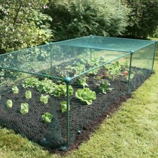 0.625m High Kit Garden Fruit Veg Cage Plant Protection with 20mm Bird Net