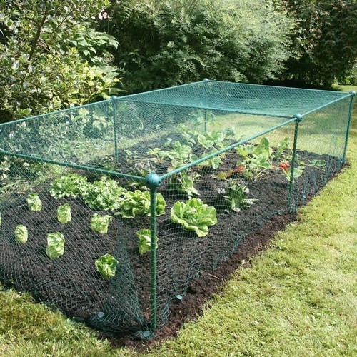 625m high kit garden - 0.625m,