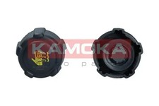 Coolant reservoir cap 7729005