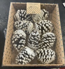 Next Laura Ashley 9 Pack Large