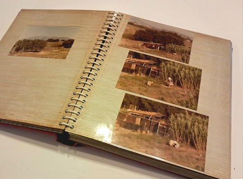 Vintage family photo album kos - album,