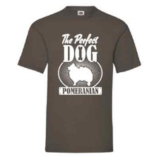 Pomeranian The Perfect Dog