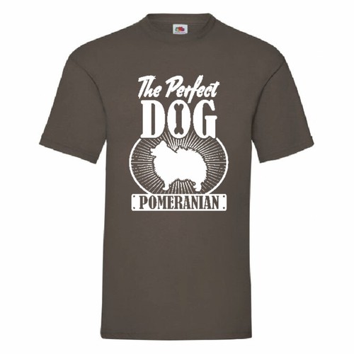 Pomeranian the perfect dog - pomeranian,