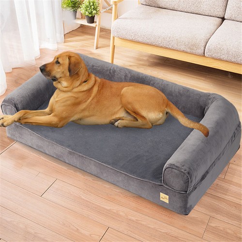 Jumbo orthopedic pet - orthopedic,