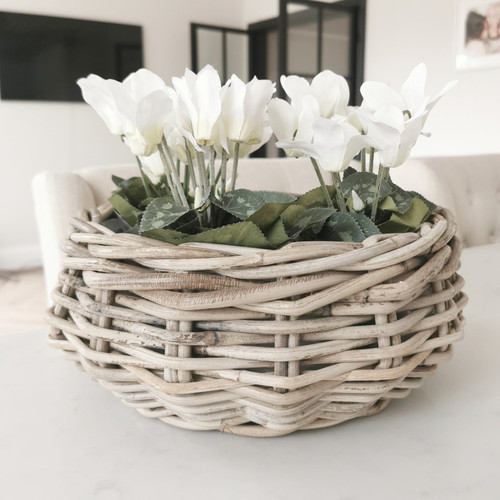 Kubu basket planter with clear - kubu,