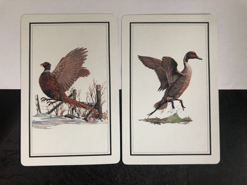 Pheasants woodland ducks - pheasants,