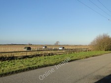 Photo 6x4 Brand new pig arks