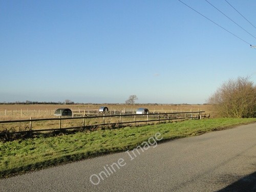 Photo 6x4 brand new pig - new,