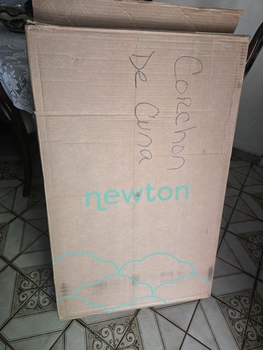 Newton the mini baby - mini,