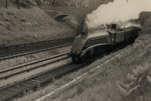 4498 sir nigel gresley - sir,