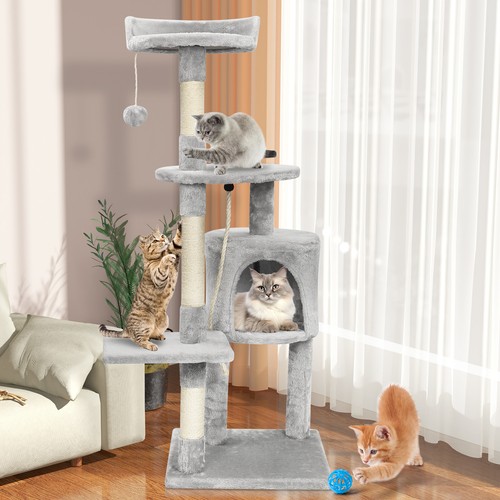 Christmas cat tree scratching - tree,