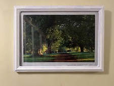 Wicksteed Arboretum Photo