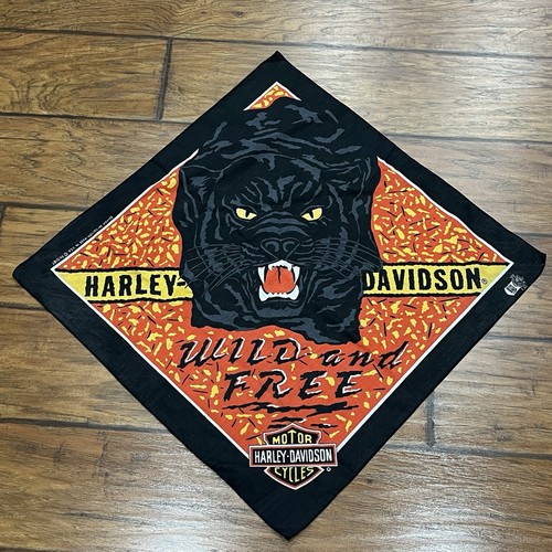 Vintage harley davidson wild - vintage,