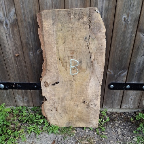 Oak wood waney live - live, edge