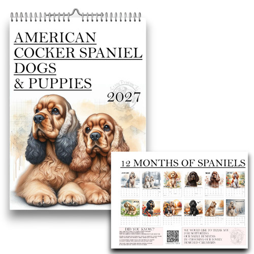 American cocker spaniel - american,