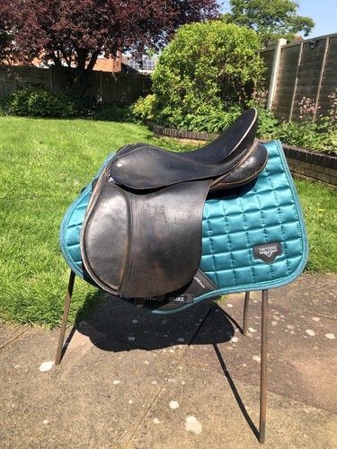 Saddle pony english - 16,
