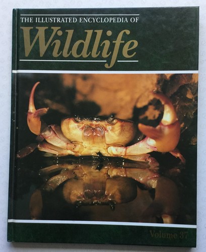 The illustrated encyclopedia - the,