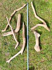 6x Medium Driftwood Pieces