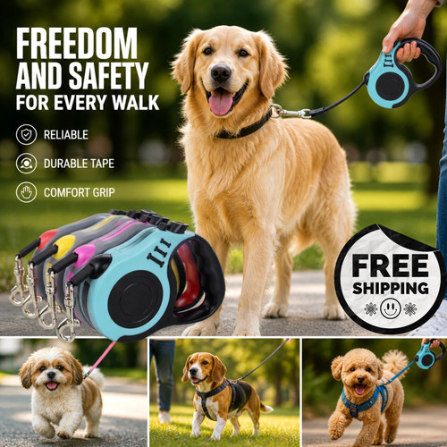 Retractable dog lead - dog,