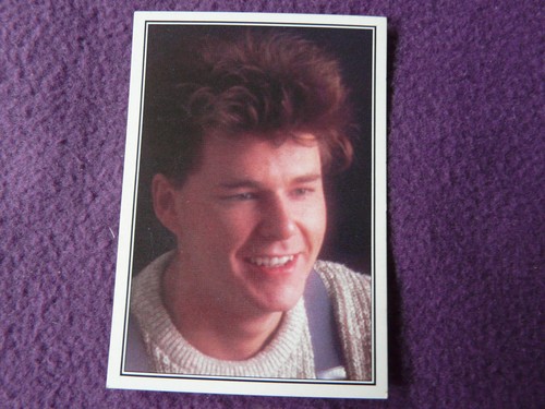 Panini the smash hits - smash,