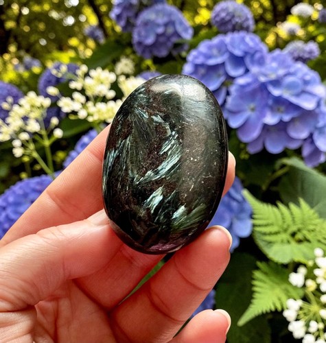 Astrophyllite palm stone - palm,