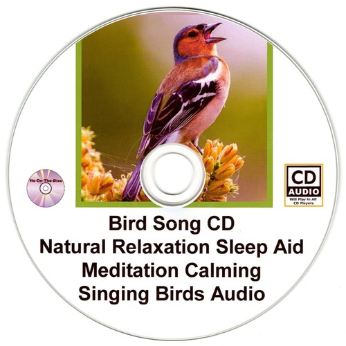 Bird song natural - bird,