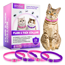 Cat flea tick collar - cat,