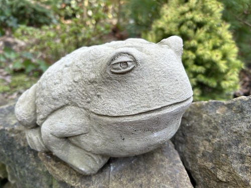Stone bullfrog garden ornament - bullfrog,