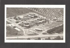 POSTCARD:  PARAKEET CITY