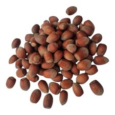 Hazelnuts in Shell 3kg - 50kg, Cosford, Fresh & Tasty, Calibration, Harvest 2025