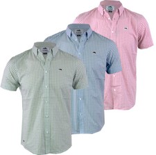 Men's Le Shark Checkered