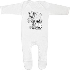 'Sheep Grazing in a Pasture'