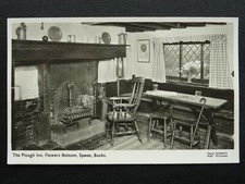 Buckinghamshire SPEEN / Flower