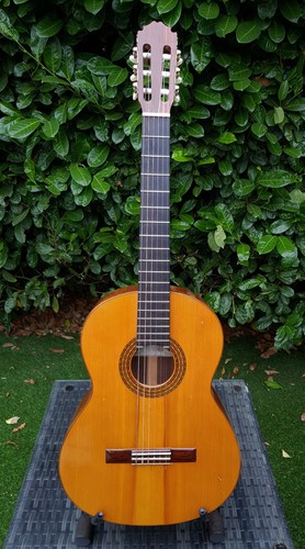 Vicente sanchis mod - sanchis, luthier