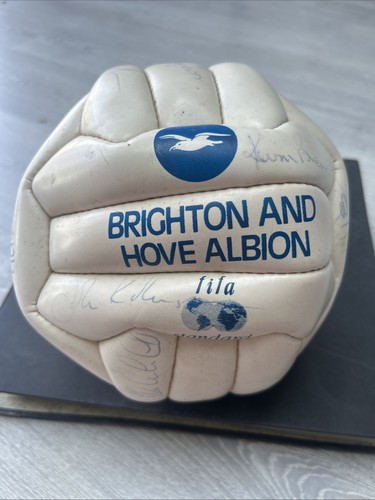 Brighton and hove albion - brighton,