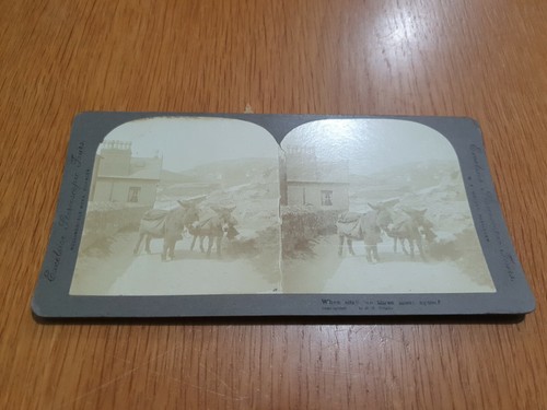Excelsior stereoscope tours - stereoscope,