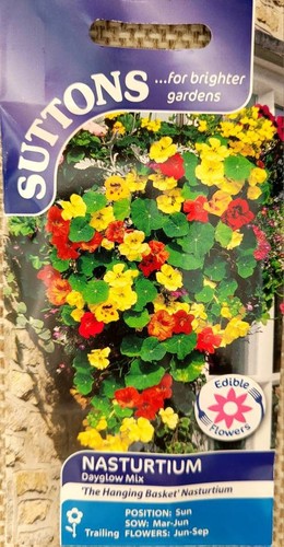 Seeds nasturtium dayglow - seeds,